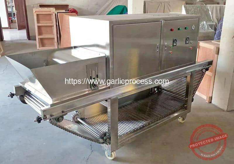 Chain-Type-Garlic-Peeling-Machine-for-Argentina-Customer